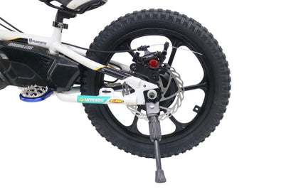 Hub Drive Conversion Kit For Stacyc