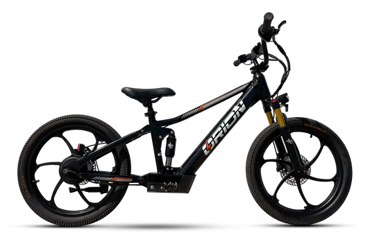 Orion e20X-FS 20" FULL SUSPENSION 500W 48V 8ah Electric Balance Bike - PRE-ORDER - EST SHIPPING - 08/18/25
