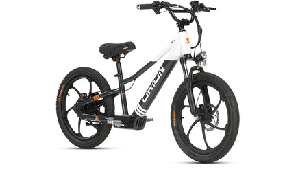 2024 Orion e20X 20" 500W 48V 8ah Electric Balance - FAST & FREE SHIPPING