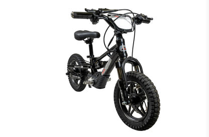 **ALL NEW** Pur-Speed 12" Xtreme Ultra 250W 36V 5ah