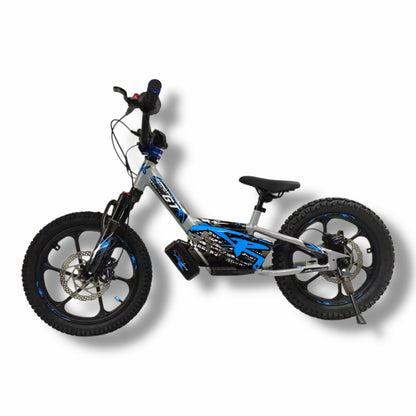 XRT Moto 16" GT PRO 36V 5.2AH 350W with Extra Battery