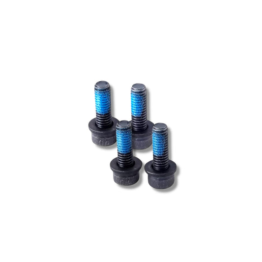 Brake Caliper Mounting Bolts