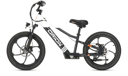 2024 Orion e20X 20" 500W 48V 8ah Electric Balance - FAST & FREE SHIPPING