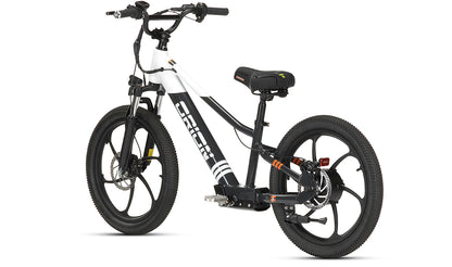 2024 Orion e20X 20" 500W 48V 8ah Electric Balance - FAST & FREE SHIPPING