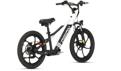 2024 Orion e20X 20" 500W 48V 8ah Electric Balance - FAST & FREE SHIPPING