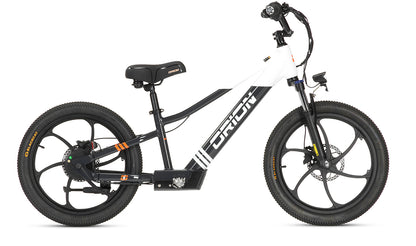 2024 Orion e20X 20" 500W 48V 8ah Electric Balance - FAST & FREE SHIPPING
