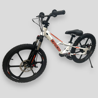 Orion RXBE20 - 48V 500W - White