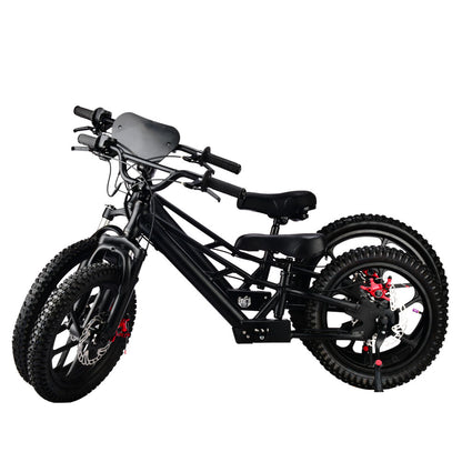 Pur-Speed eBike