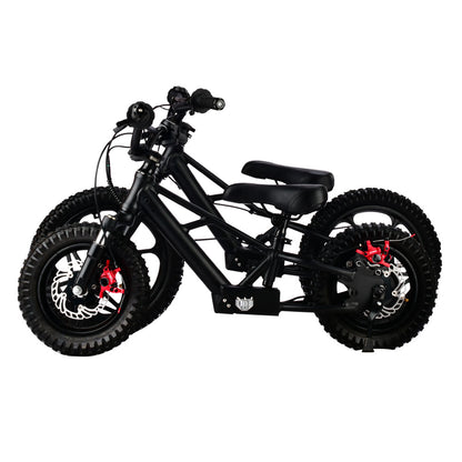 XRT MOTO 16S 350W 36V 5ah