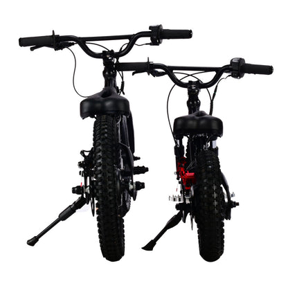 XRT MOTO 16S 350W 36V 5ah