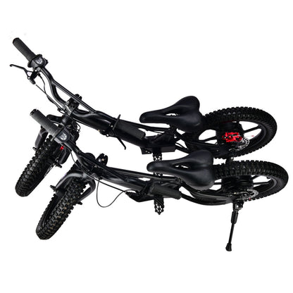 XRT MOTO 16S 350W 36V 5ah