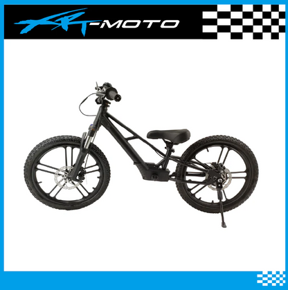 XRT Moto 20” REBEL PRO 500W 48V 5ah