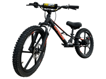 Orion RXBE20 - 48V 500W - Black
