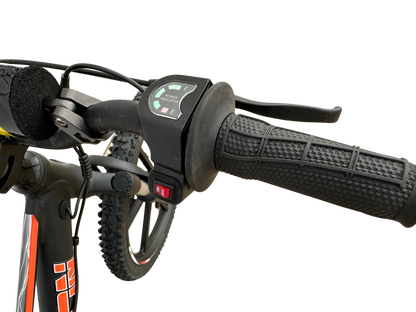 Orion RXBE20 - 48V 500W - Black