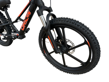 Orion RXBE20 - 48V 500W - Black