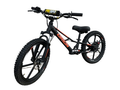 Orion RXBE20 - 48V 500W - Black