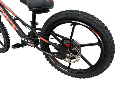 Orion RXBE20 - 48V 500W - Black